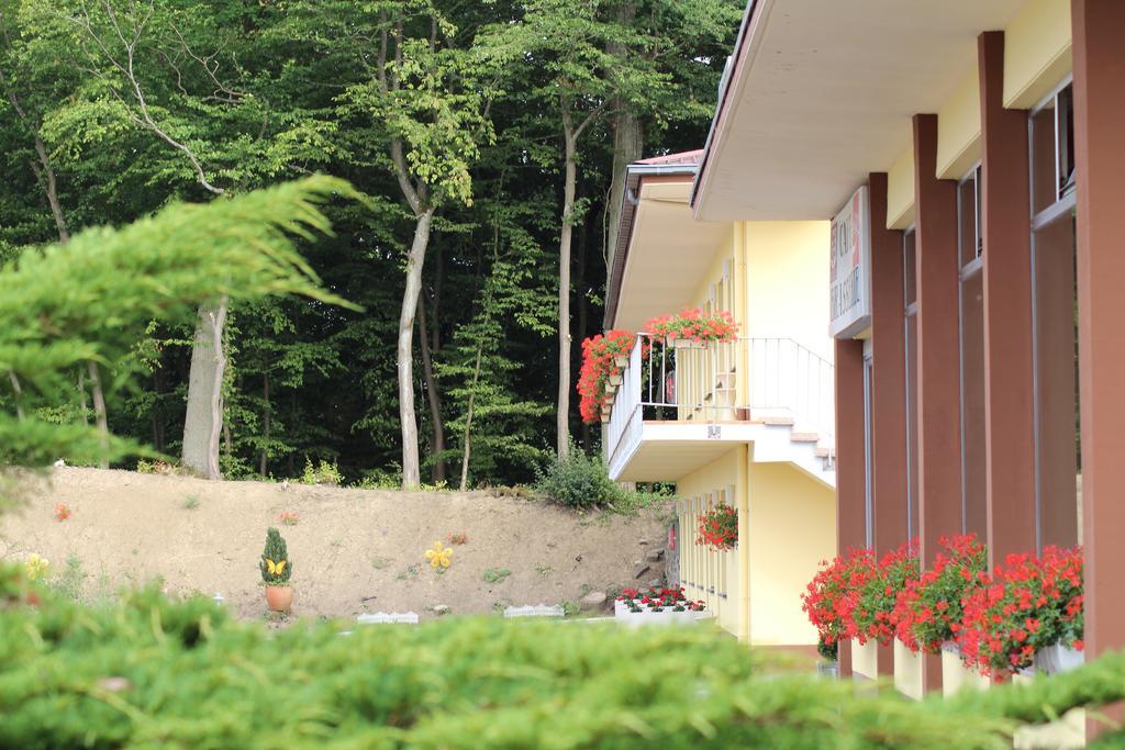 Hotel Drive In Motel Capellen Εξωτερικό φωτογραφία